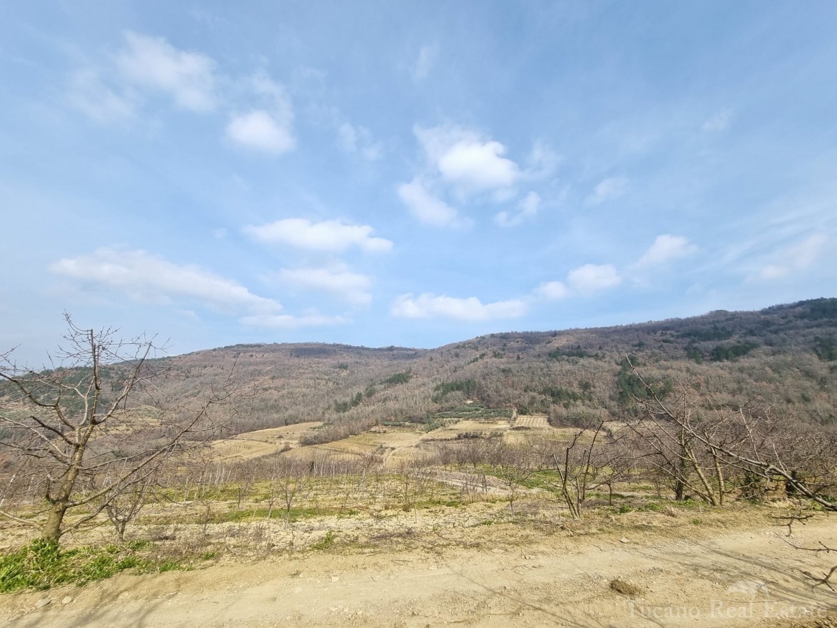 Grundstück Zu verkaufen - ISTARSKA MOTOVUN