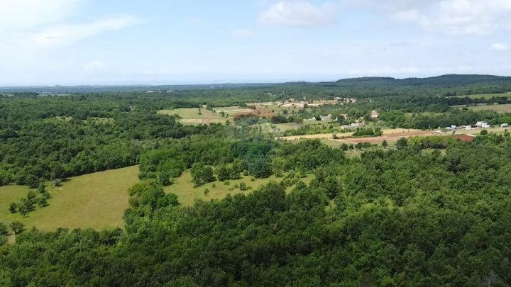 Land for sale 7375 m² – Gambetići