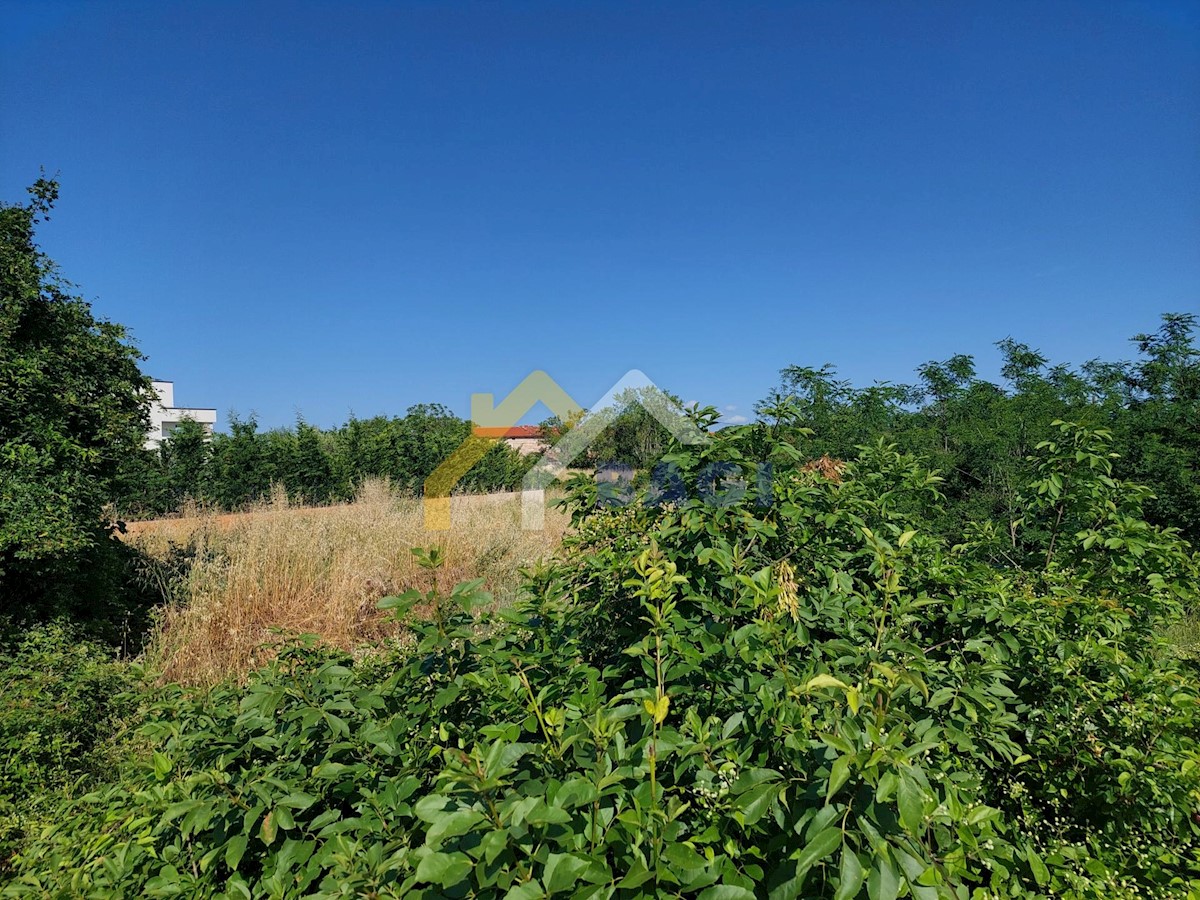 Terreno In vendita - ISTARSKA SVETVINČENAT