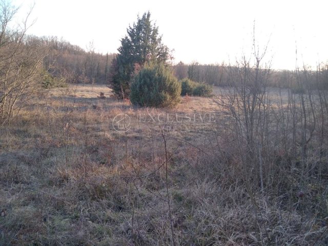 Pozemek na prodej 14500 m² – Valtura