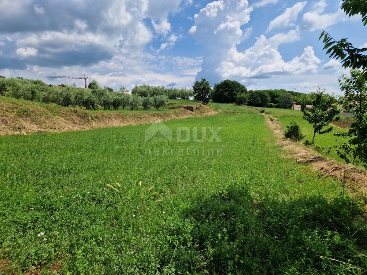 Land For sale - ISTARSKA BARBAN