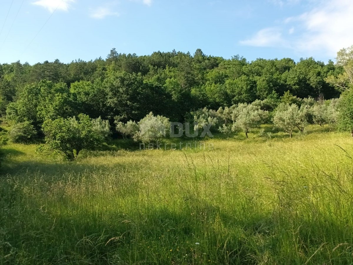 Maison À vendre - ISTARSKA BUZET