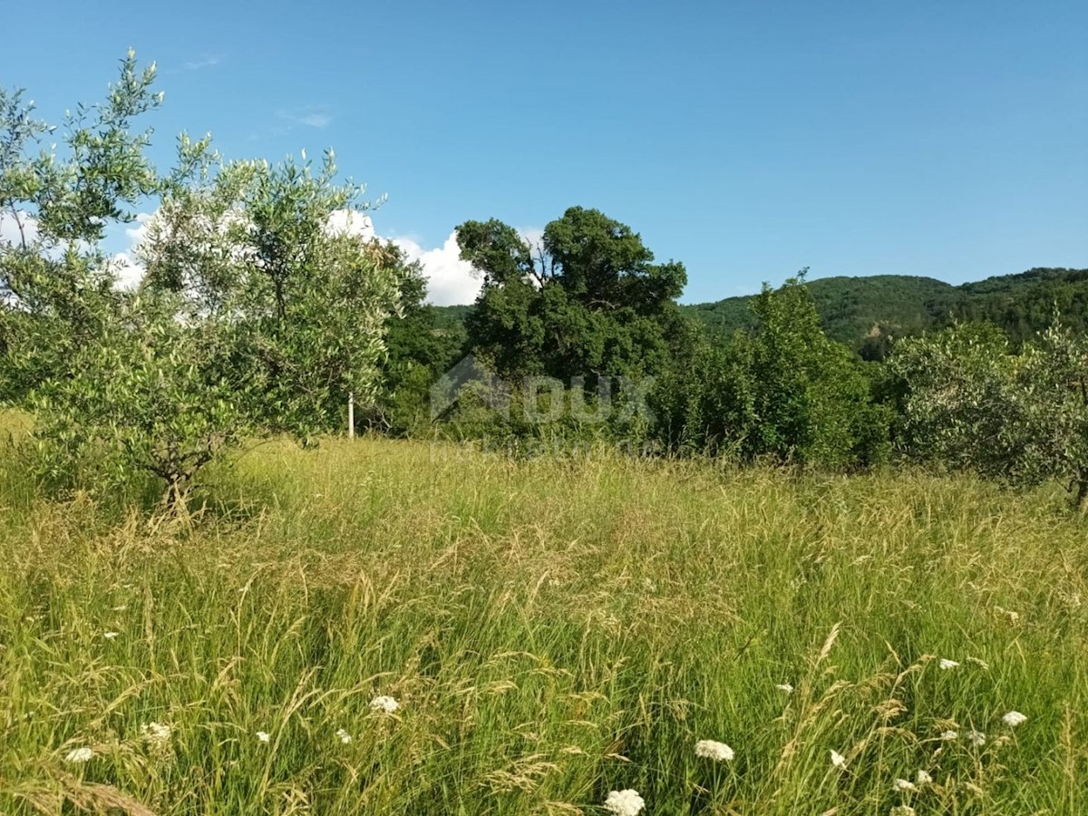 Hiša Na predaj - ISTARSKA Buzet