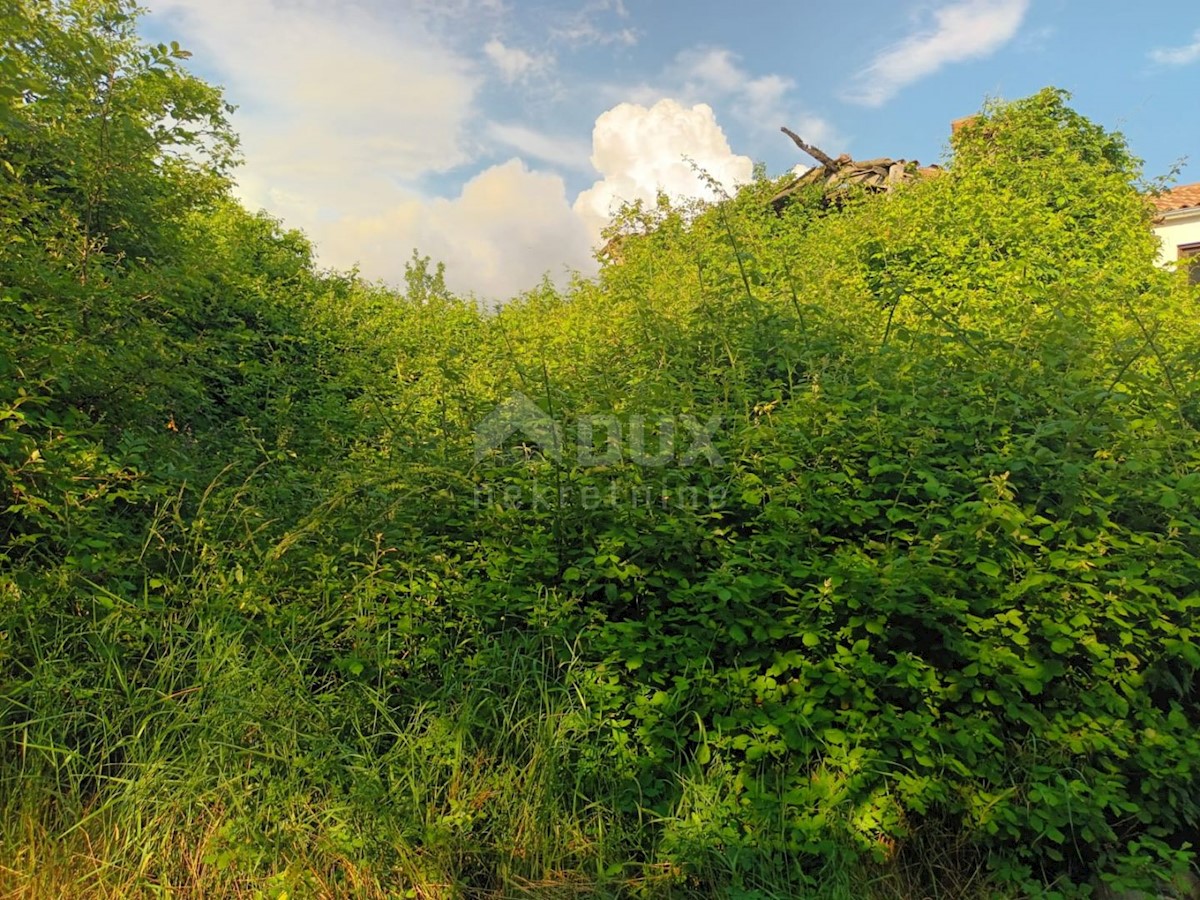 Haus Zu verkaufen - Istarska Buzet - foto 3/3