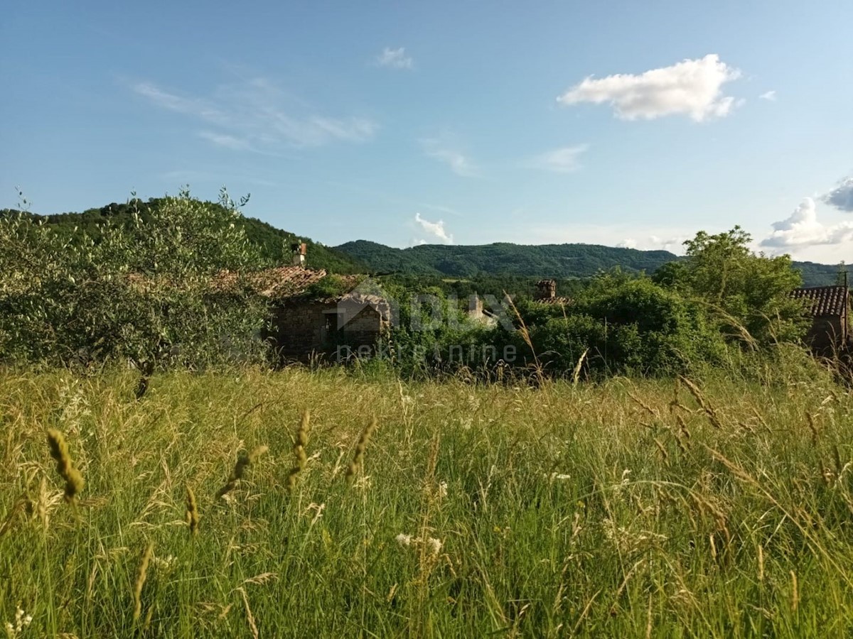 House For sale - ISTARSKA BUZET