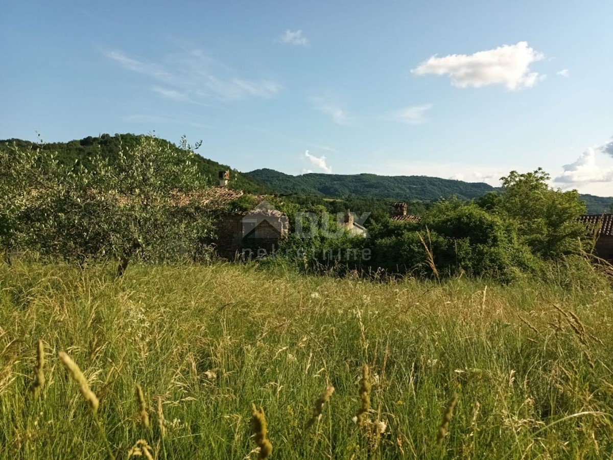 House For sale - ISTARSKA BUZET