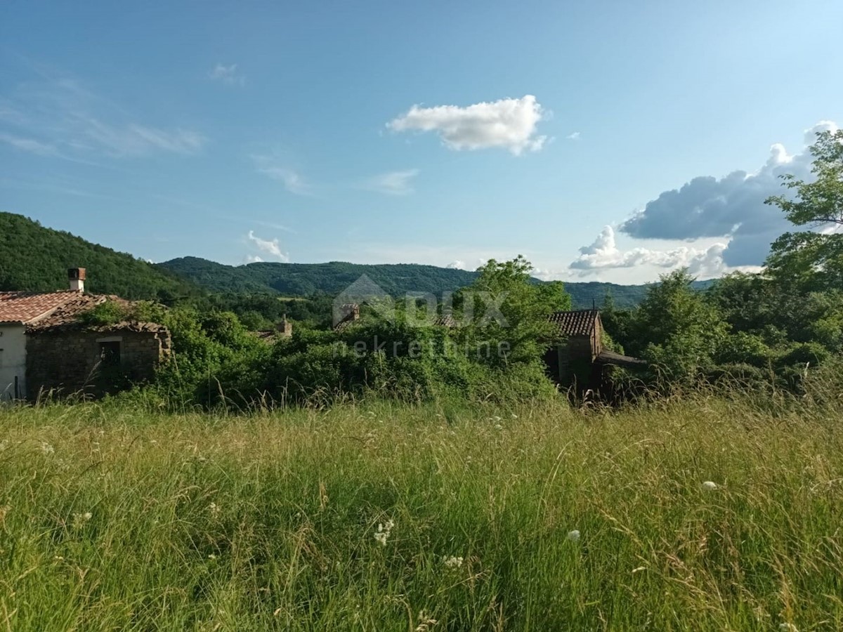 House For sale - ISTARSKA BUZET