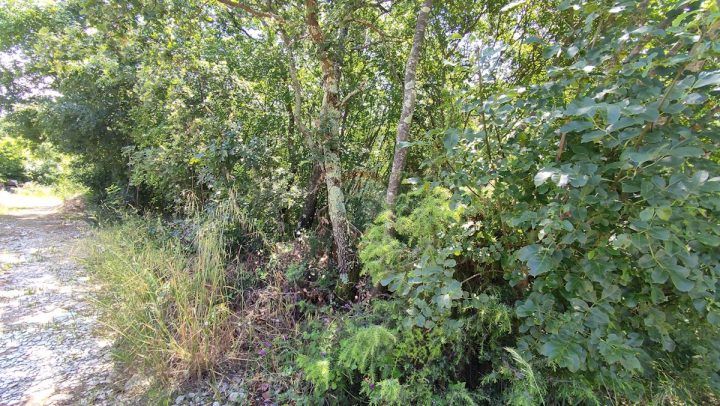Parcela na predaj 2000 m² – Umag