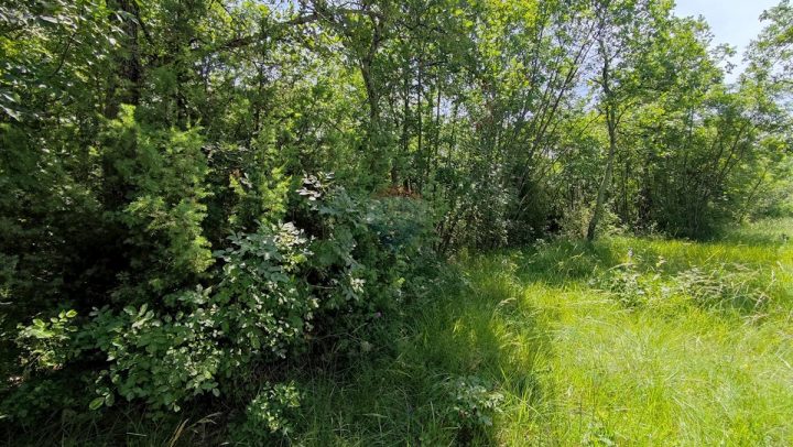 Grundstück Zu verkaufen - Istarska Umag - foto 2/2