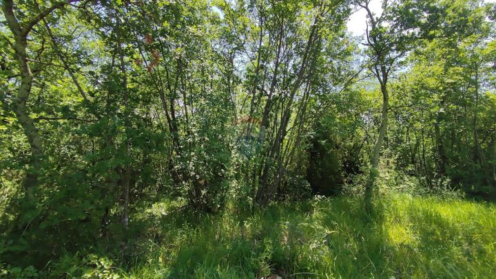 Parcela Naprodaj - Istarska Umag - foto 3/3