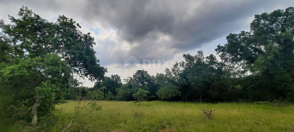 Terreno In vendita - ISTARSKA GROŽNJAN