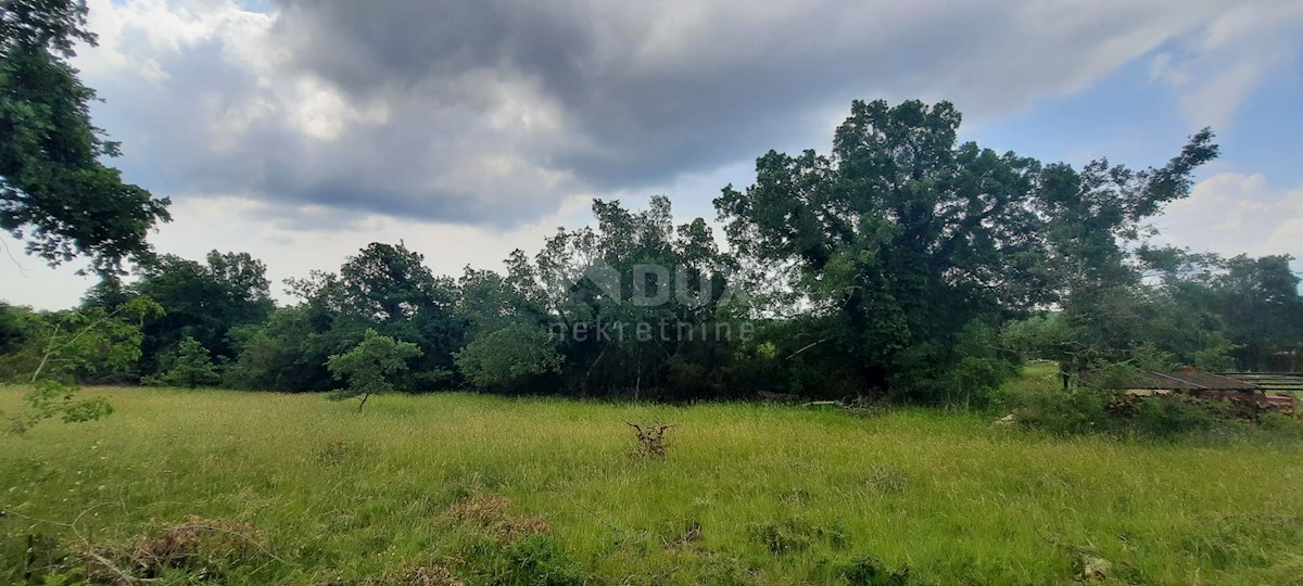 Land For sale - ISTARSKA GROŽNJAN