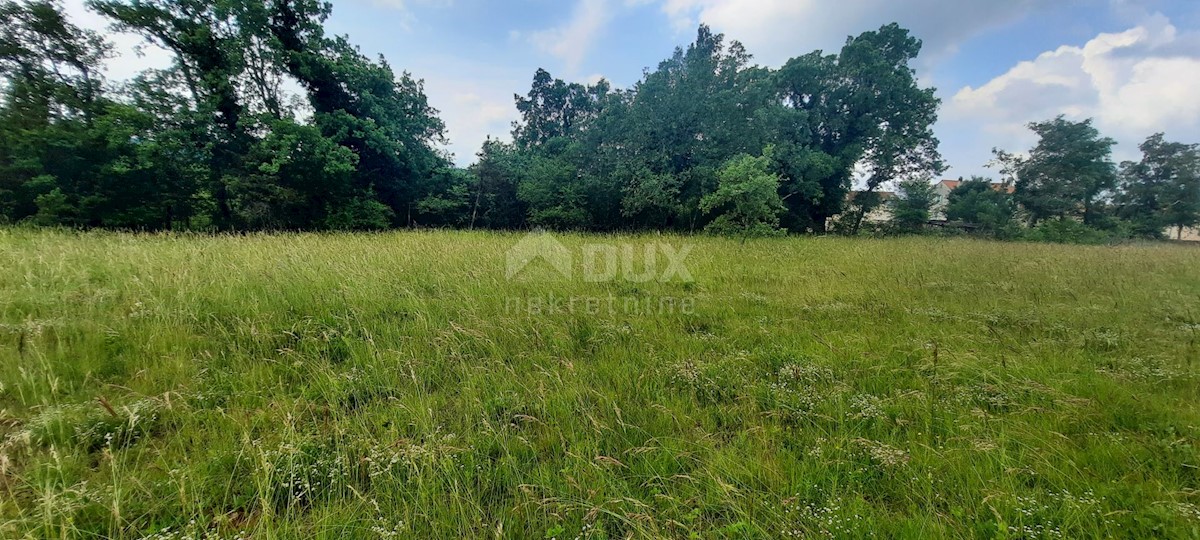 Land For sale - ISTARSKA GROŽNJAN