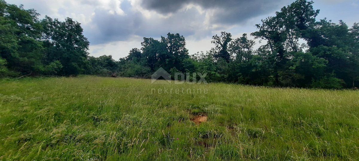 Land For sale - ISTARSKA GROŽNJAN