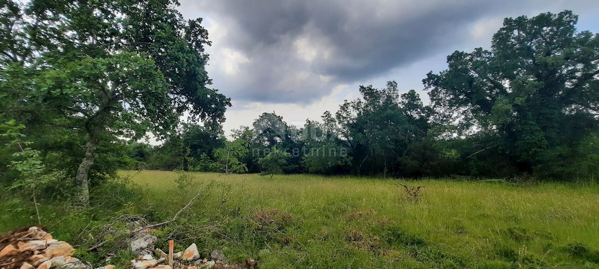 Terreno In vendita - ISTARSKA GROŽNJAN