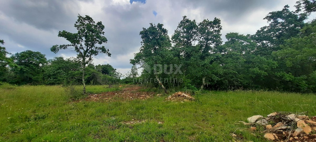 Land For sale - ISTARSKA GROŽNJAN