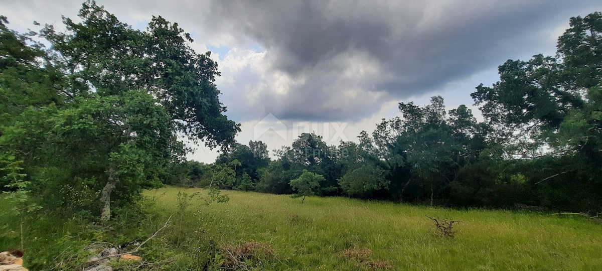 Terreno In vendita - ISTARSKA GROŽNJAN