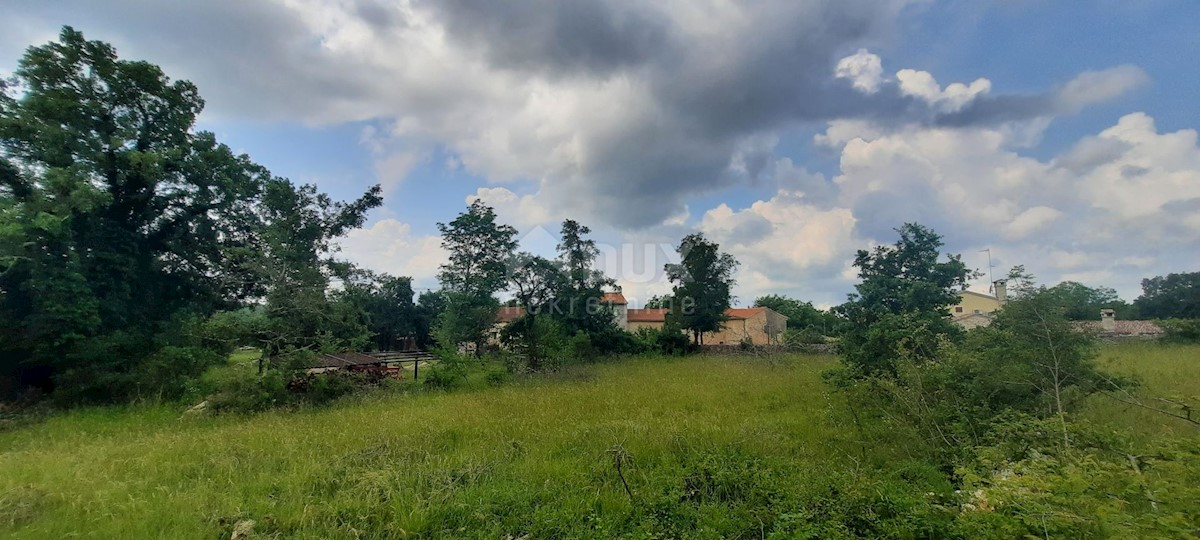 Terreno In vendita - ISTARSKA GROŽNJAN