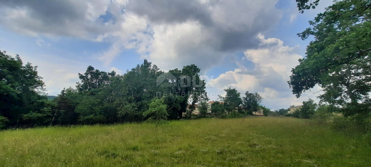 Land For sale - ISTARSKA GROŽNJAN