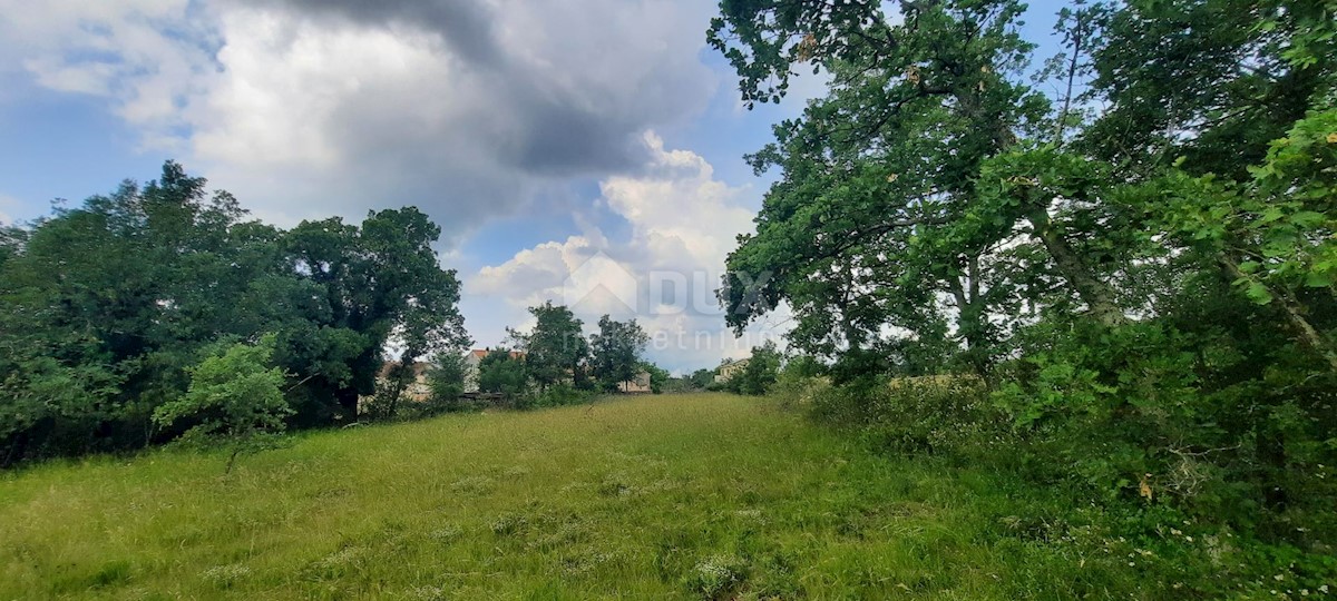 Land For sale - ISTARSKA GROŽNJAN