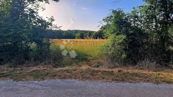Parcela na predaj 3330 m² – Barban