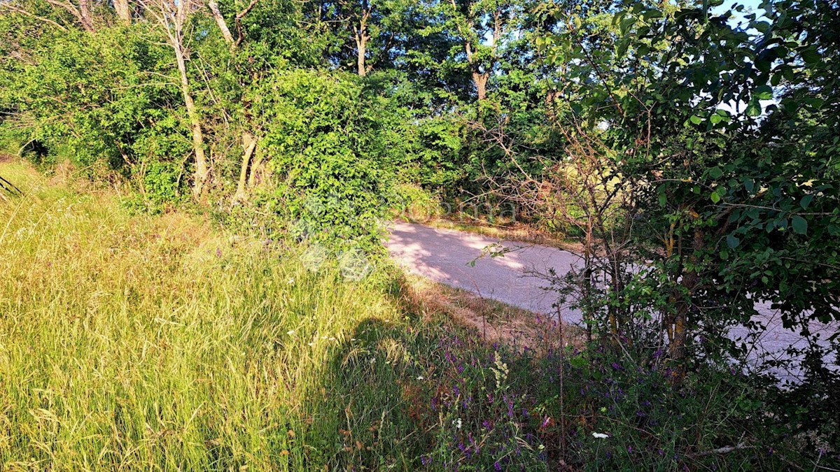 Terreno In vendita - ISTARSKA BARBAN