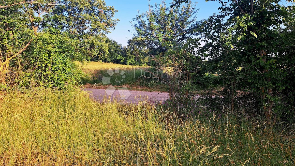 Terreno In vendita - ISTARSKA BARBAN