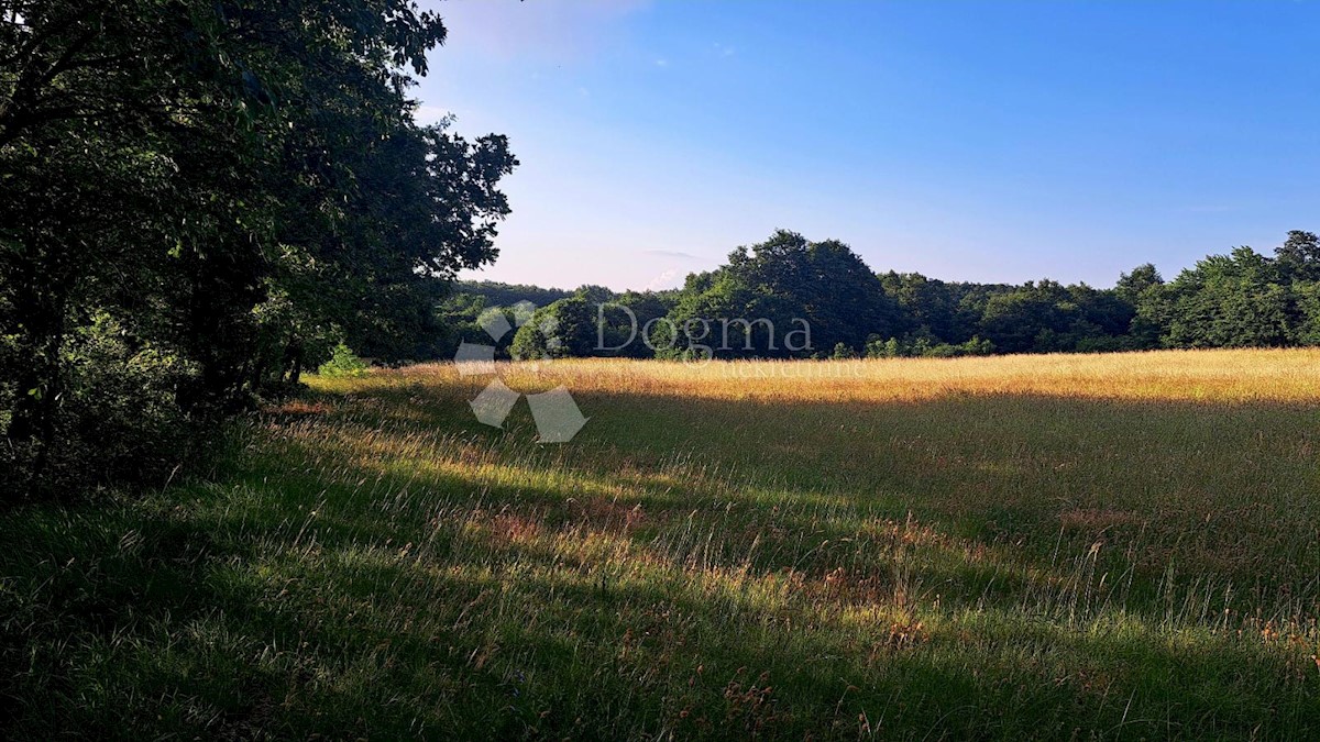 Terreno In vendita - ISTARSKA BARBAN