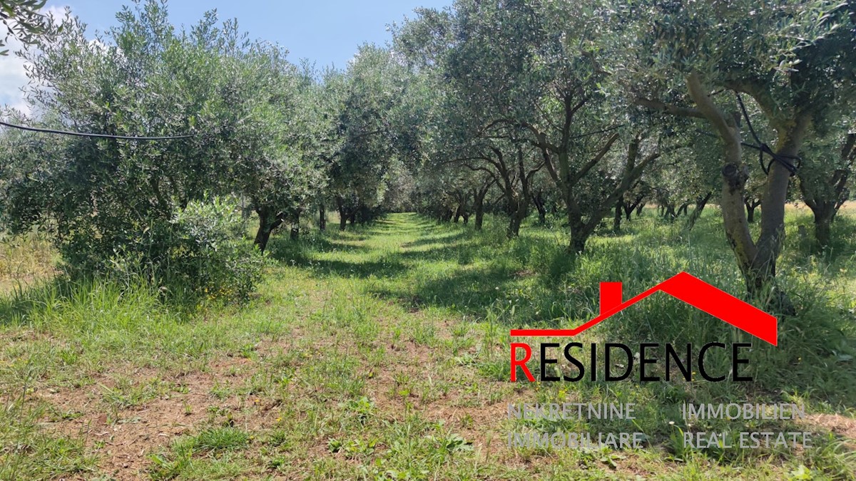 Land For sale - ISTARSKA PULA