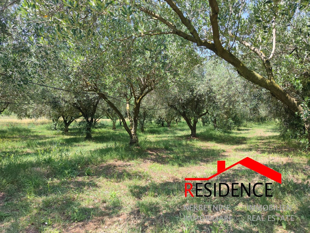 Land For sale - ISTARSKA PULA