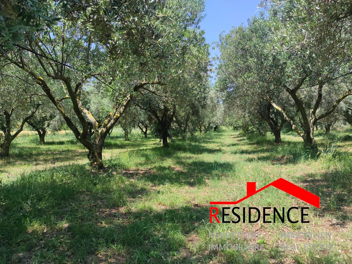 Land For sale - ISTARSKA PULA