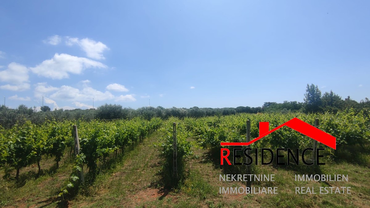 Land For sale - ISTARSKA PULA