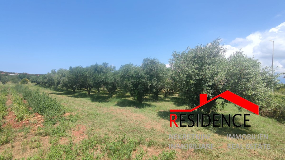 Land For sale - ISTARSKA PULA