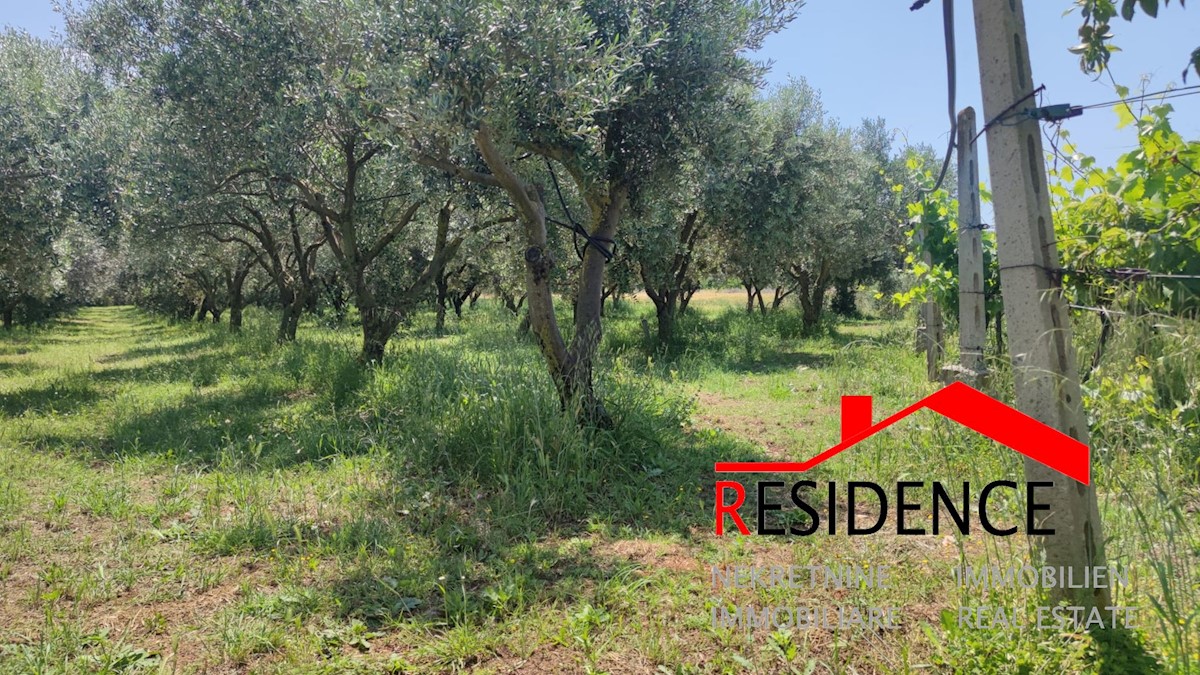 Land For sale - ISTARSKA PULA