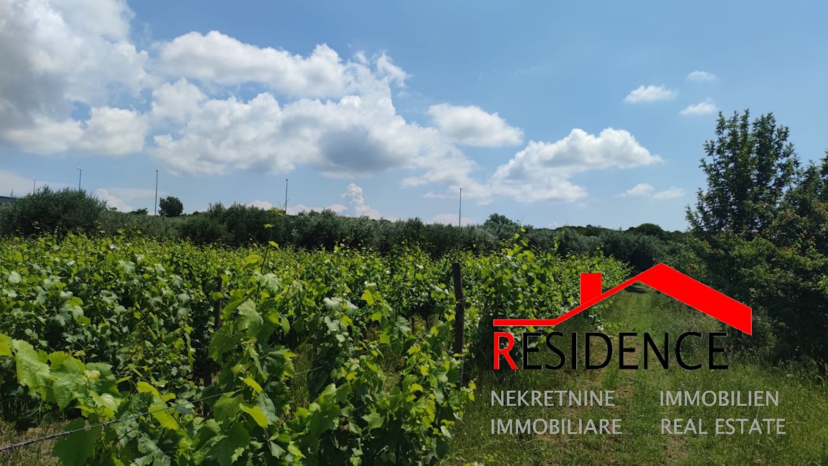 Land For sale - ISTARSKA PULA