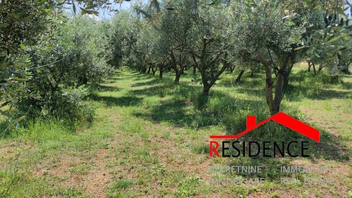 Parcela na predaj 6680 m² – Pula