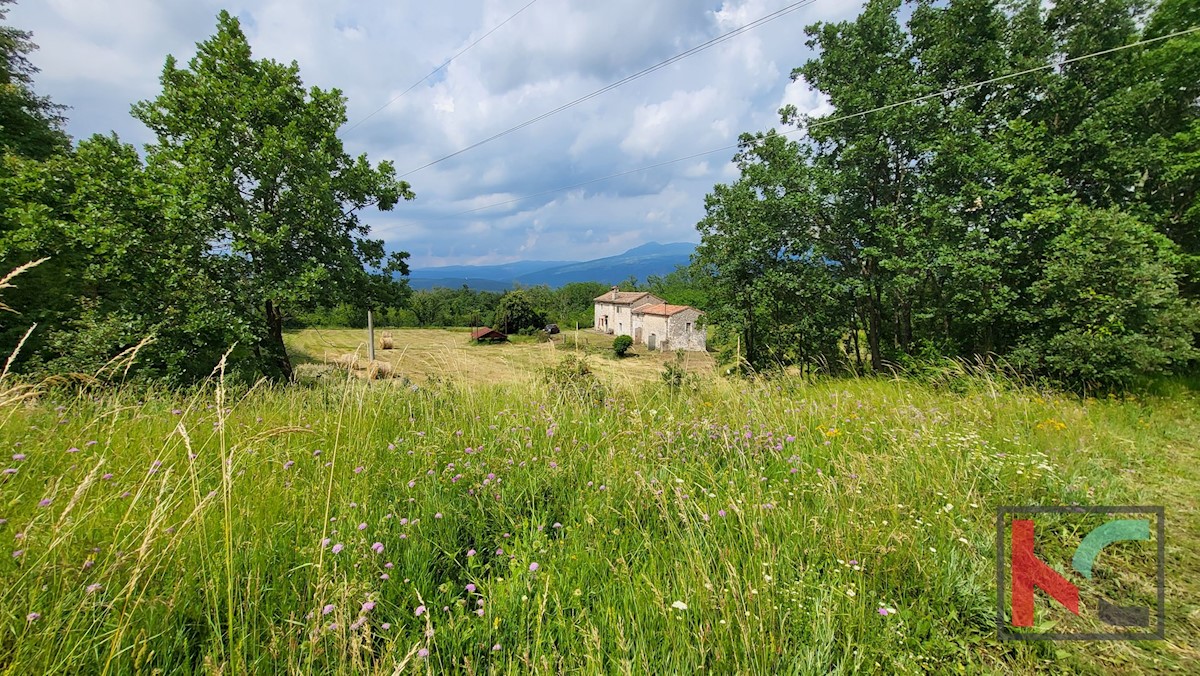 House For sale - ISTARSKA KRŠAN