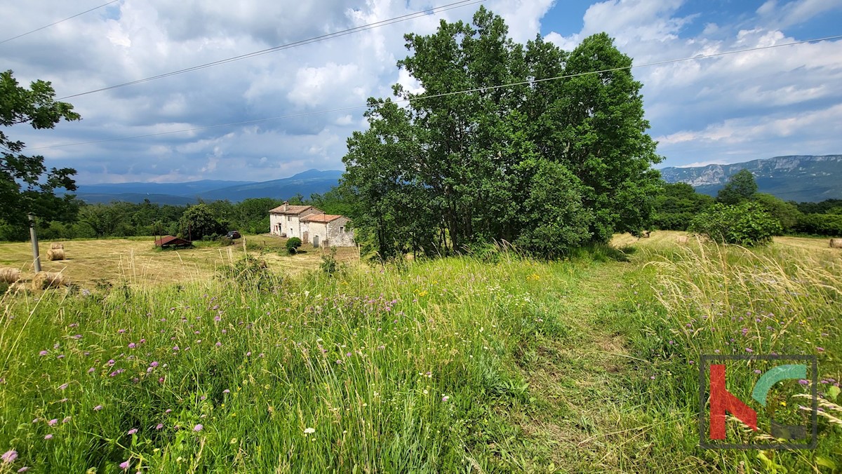 House For sale - ISTARSKA KRŠAN