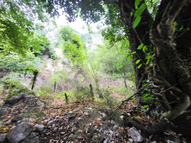 Zemljište Na prodaju - Primorsko-goranska Vinodolska Općina - foto 2/6