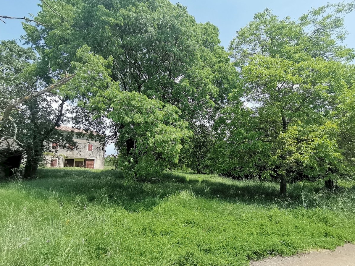 Kuća Na prodaju - ISTARSKA Vižinada