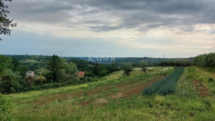 Parcela na predaj 1560 m² – Grožnjan