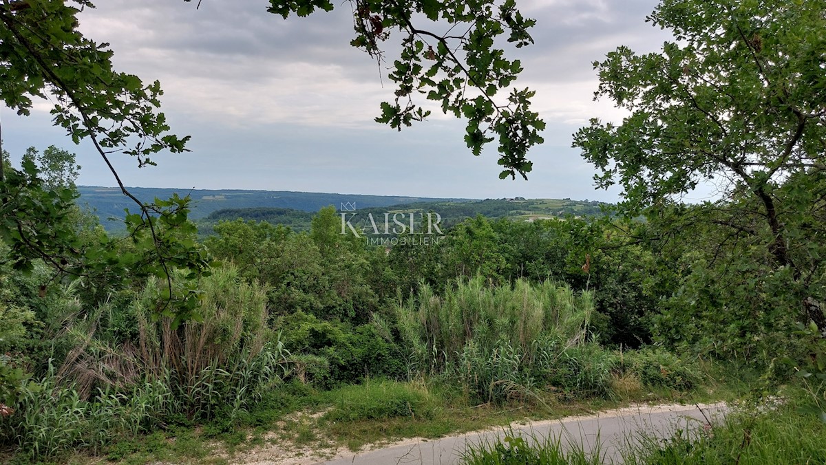 Land For sale - ISTARSKA GROŽNJAN