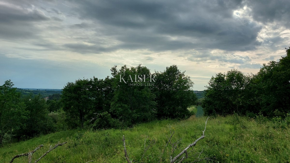 Land For sale - ISTARSKA GROŽNJAN