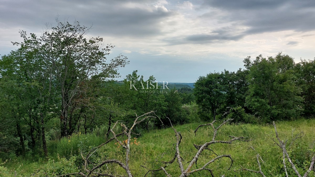 Land For sale - ISTARSKA GROŽNJAN