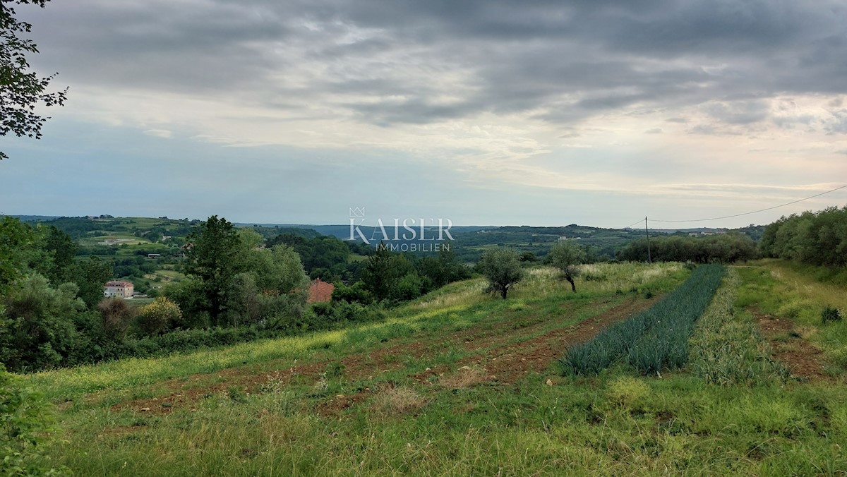 Land For sale - ISTARSKA GROŽNJAN