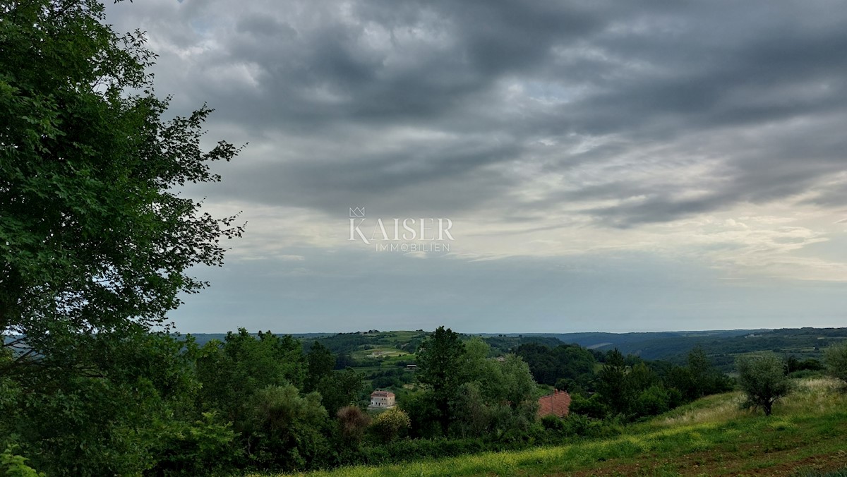 Land For sale - ISTARSKA GROŽNJAN