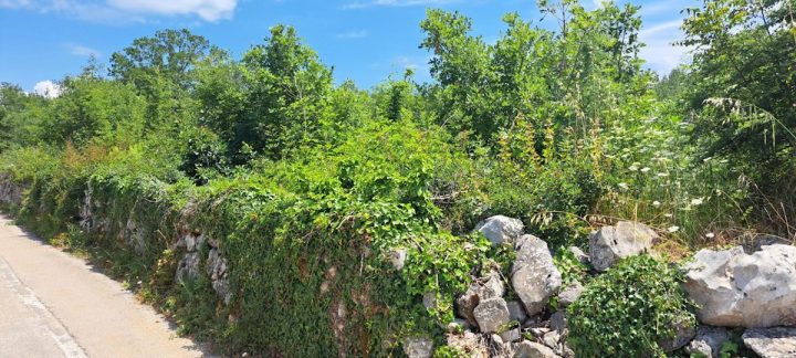 Zemljište na prodaju 898 m² – Malinska