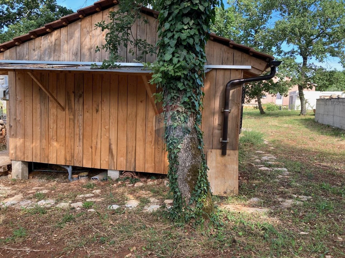 Terreno Da affittare - ISTARSKA VIŠNJAN