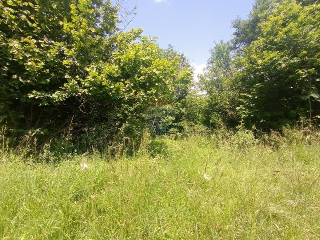 Zemljište na prodaju 5300 m² – Lukovdol
