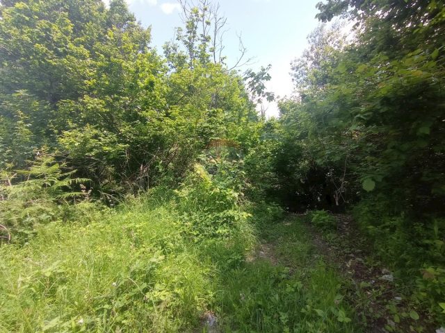 Parcela Naprodaj - Primorsko-goranska Vrbovsko - foto 3/3